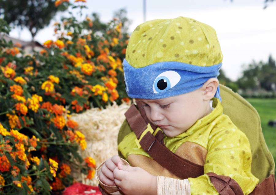 young son in leonardo costume with shell playing with orange and red flowers at park during portrait session with danielle jacqueline fall photography ideas with pumpkins