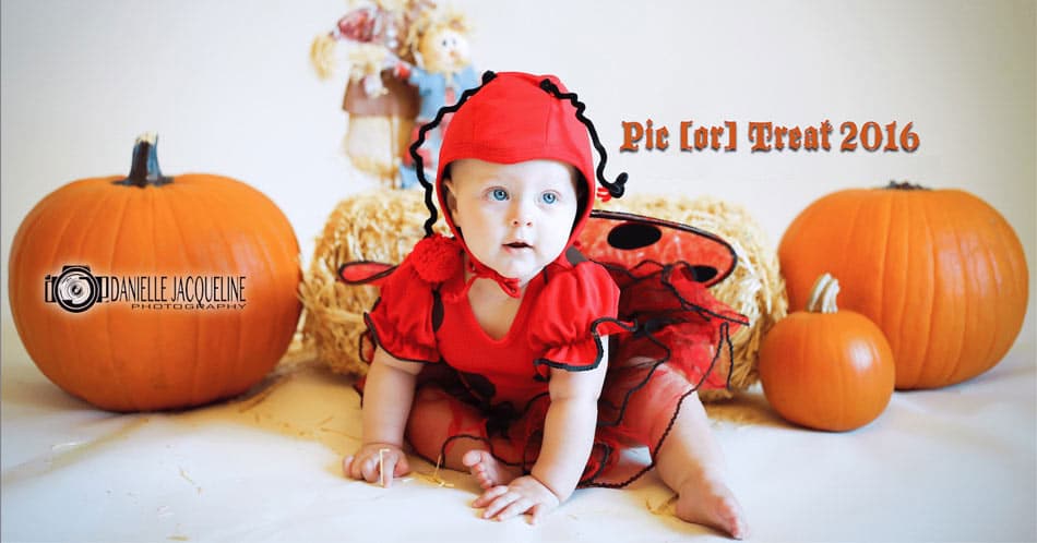 little cutie in lady bug costume with pumpkins all around during zero gravity studio photo session with danielle jacqueline photography in olive branch ms for families during halloween