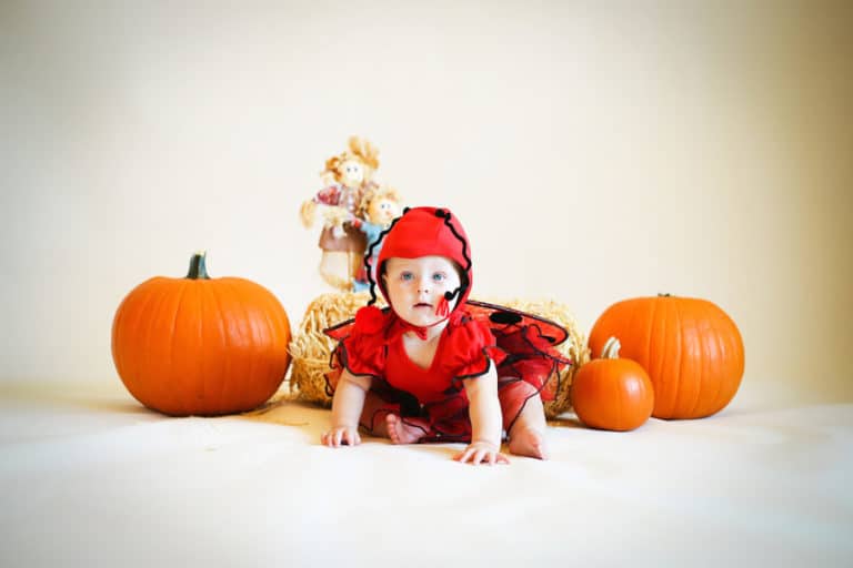 lady bug baby girl crawling towards camera with pumpkins in background zero gravity studio portrait for halloween by danielle jacqueline holiday services in olive branch ms