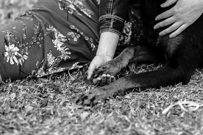 close up picture of pet owner holding dog's hand in grass outside with sunlight shining for black and white photo flowered dress by danielle jacqueline in desoto county ms