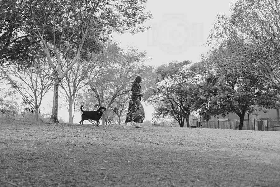 playing at the park with pet dog in sundress and array of trees on top of hil lblack and white photo for owner by danielle jacqueline in desoto county ms