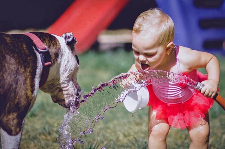 infant baby holding garden hose in backyard of olive branch neighborhood with pet dog drinking water plastic slide in the background of grassy area tutu swimsuit by danielle jacqueline