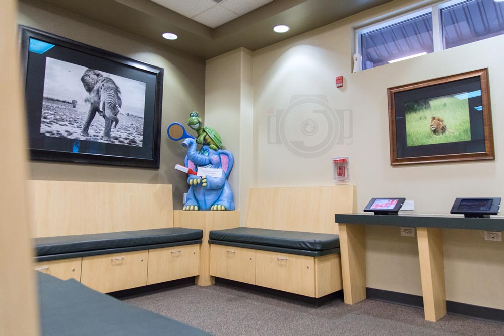 dentist patient lobby designed for kids with tablets and colorful cartoon animals theme photographed by danielle jacqueline