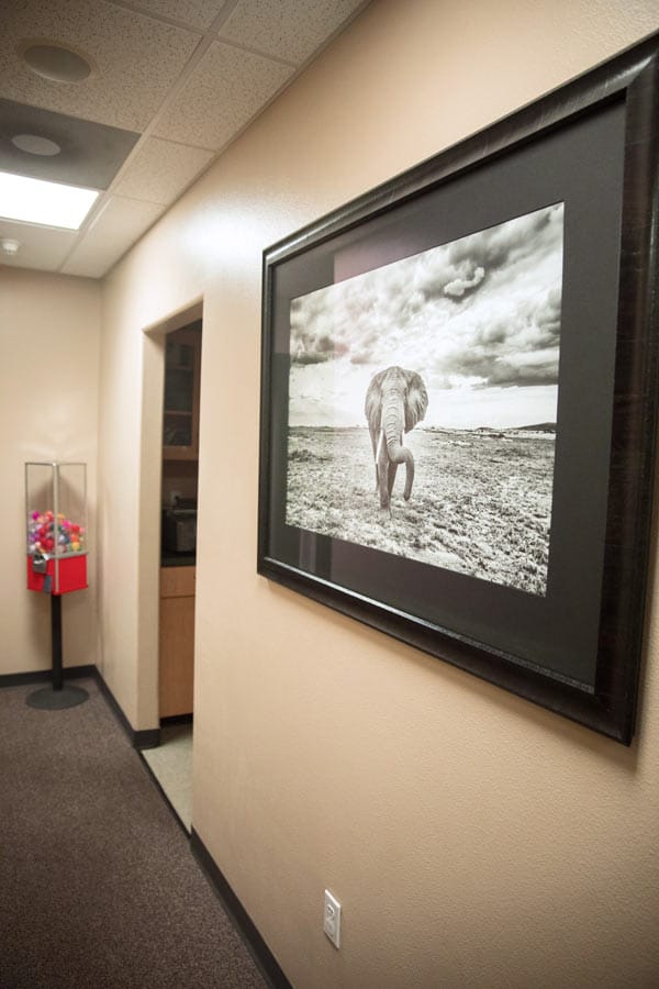 hallway at dental clinic with gum ball machine and huge picture of elephant to show kids via online media for pediatrics near colliervile tennessee