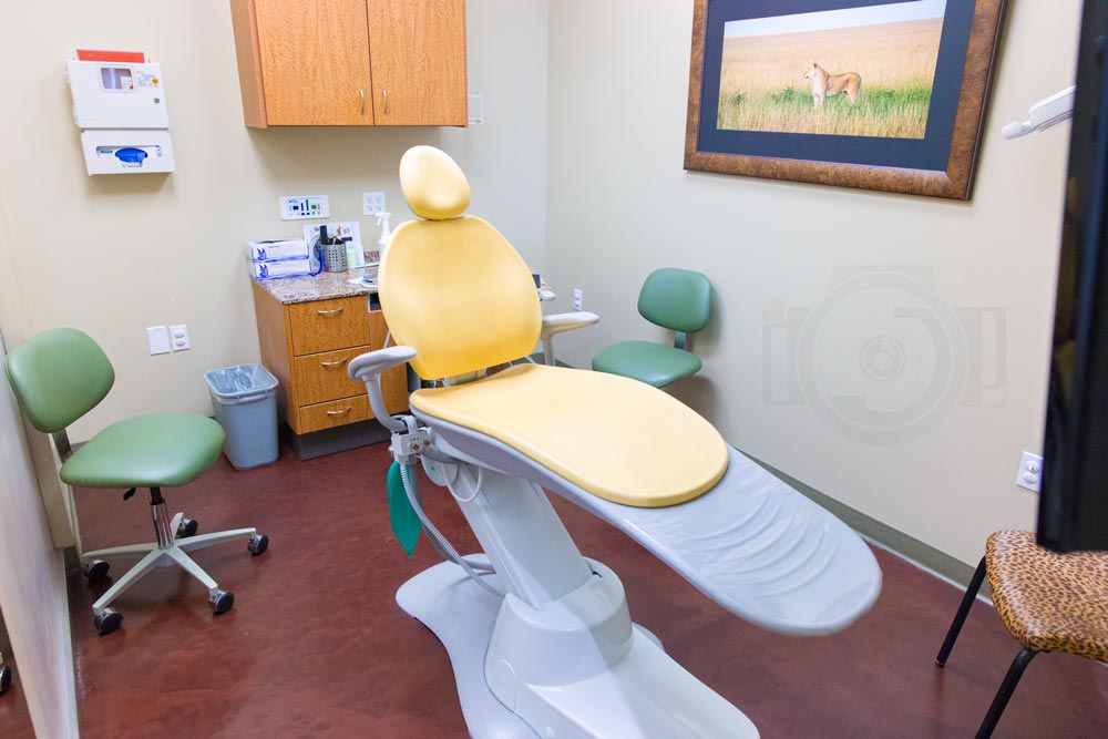 bright patient room at pediatric dentistry clinic with lion portrait on wall for safari theme yellow dentist chair and green rollers with cheetah print for parents for company website pictures by danielle jacqueline photography near southaven, mississippi