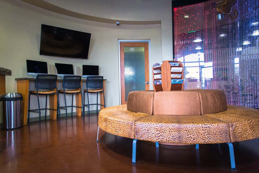 open lobby decorated with animal print and waterfall wall of glass with tons of entertainment for kids at dentist clinic photographed by danielle jacqueline interior virtual tours near memphis tn