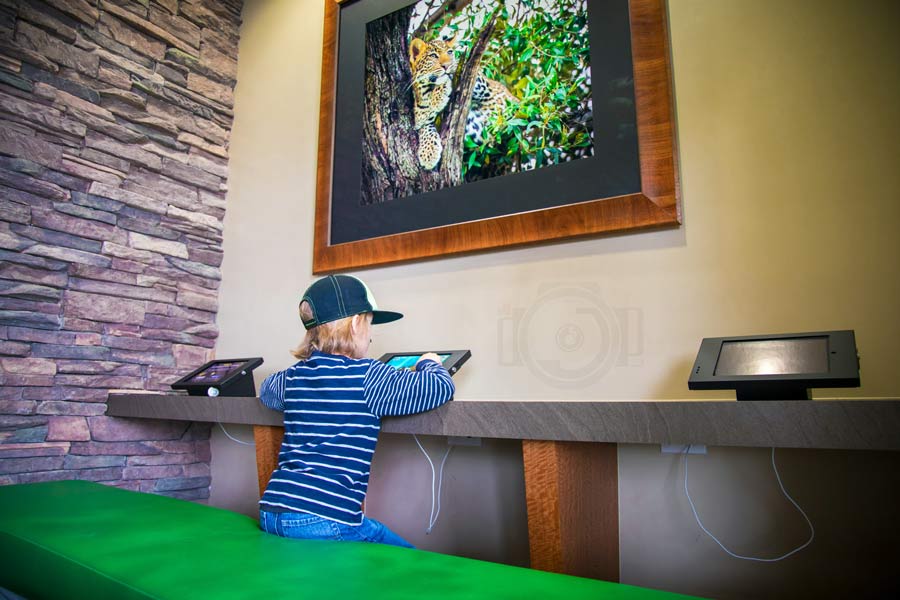 little boy sitting on padded bench at dentist during visit with pediatrician and photographer to capture patient experience safari theme for website pictures