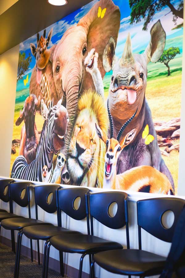 big wall mural of zoo animals captured by dental photographer focused on patient experience lobby seating now serving memphis tn