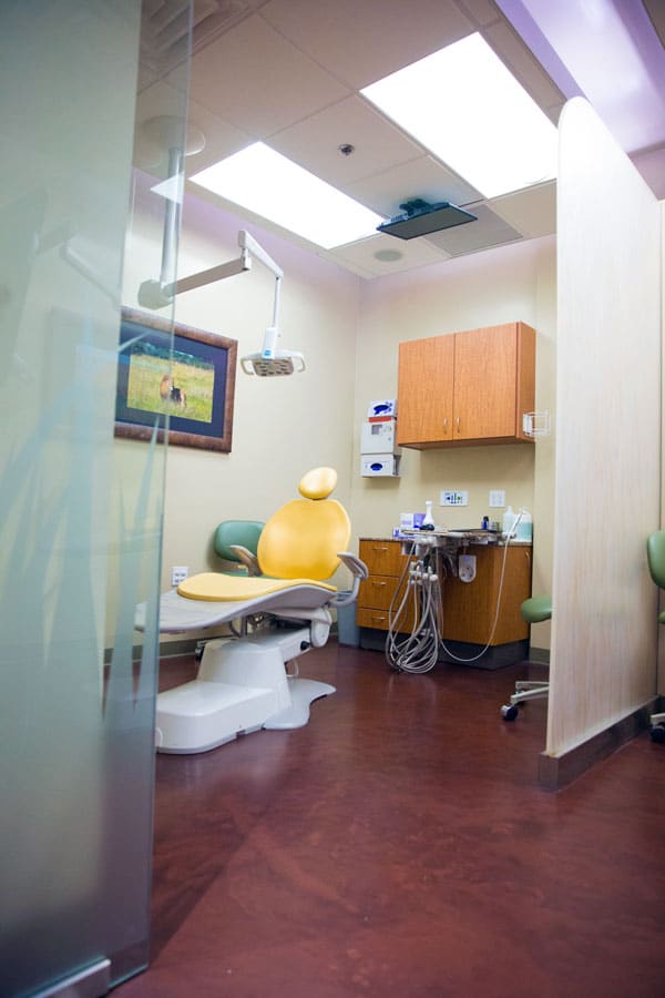 awesome dentist office layouts and experience photography yellow chair custom sliding glass doors and lion theme tv on ceiling by danielle jacqueline photography near memphis tn